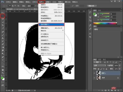 1629078223664135.jpg 手把手教你用ps製作漂亮的星空創意頭像海報(圖文詳解)