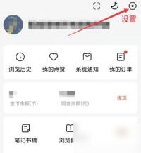 红果免费短剧我的页面右上角设置按钮