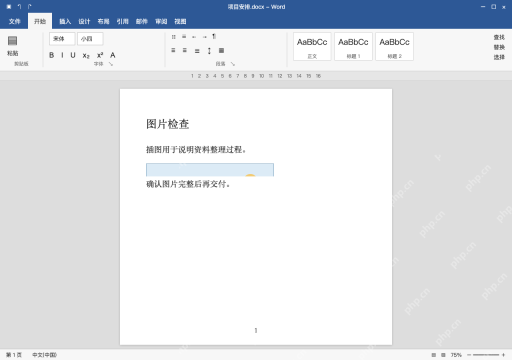 模拟 Microsoft Word 简体中文桌面版完整界面：先确认缺的是图片内容还是显示区域