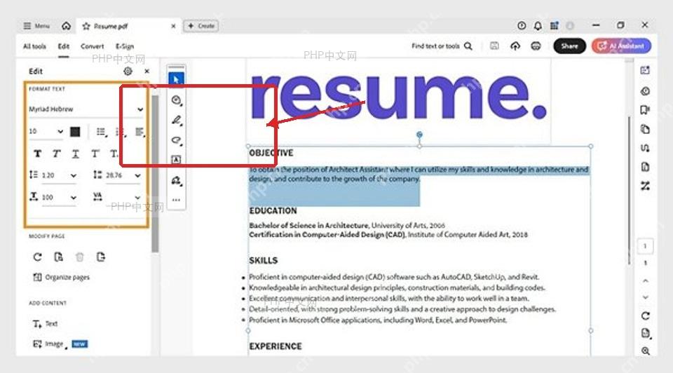 Adobe Acrobat 文本框被选中后显示编辑边框