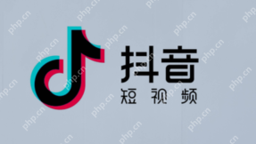 抖音商城入驻入口官网_抖音商城官方入驻通道 - php中文网