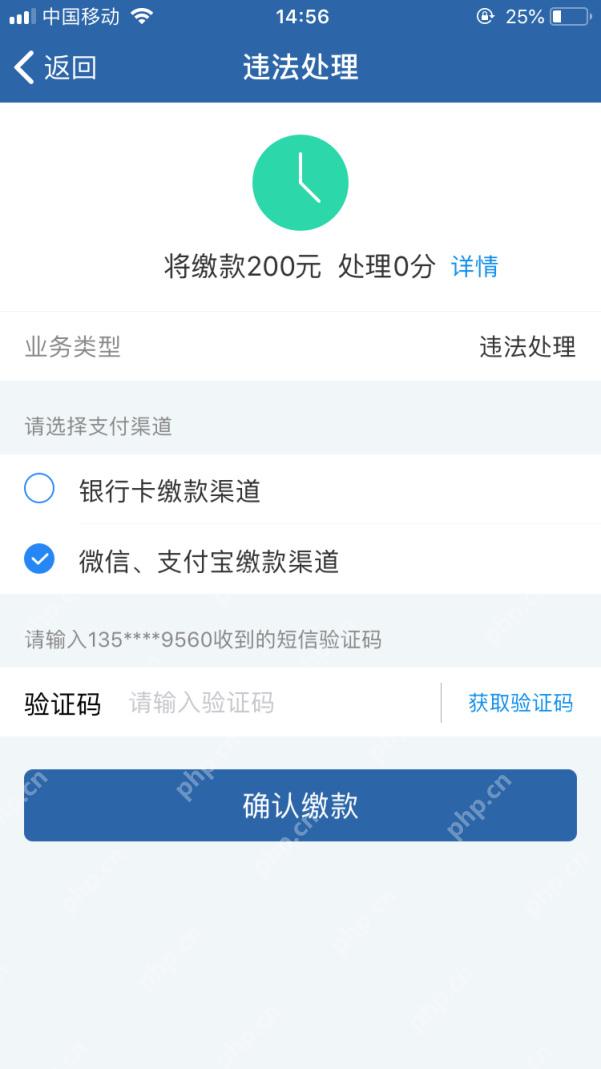 交管12123缴费页面的付款渠道选择