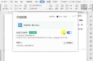 WPS如何开启文档权限?结果检查