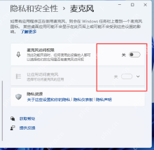 Windows 麦克风权限页已经显示系统和应用开关,证明语音输入最终能不能开起来还取决于麦克风访问权限。
