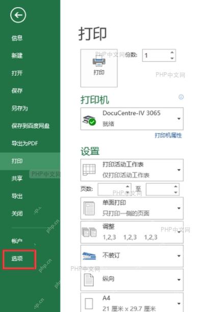 Excel 文件后台页面左侧选项入口,当前步骤用于打开 Excel 选项窗口