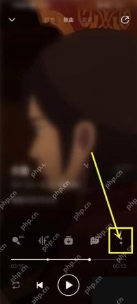 QQ音乐播放页右下角更多按钮