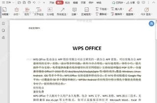 如何设置PDF文档中删除线的颜色?结果检查