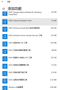 Win10 添加功能列表中的多个 RSAT 管理工具条目