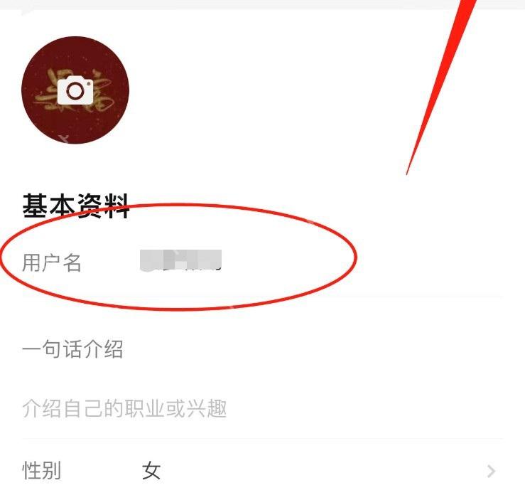 知乎编辑资料页面里的用户名和保存按钮