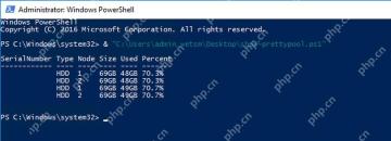 Windows PowerShell 扩容前查看存储池容量和可加入物理磁盘