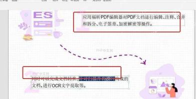 PDF页面中文字框和被选中的文字区域用于修改正文内容