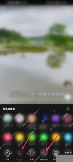 抖音分享面板复制链接入口,用于保存不了时保留视频链接