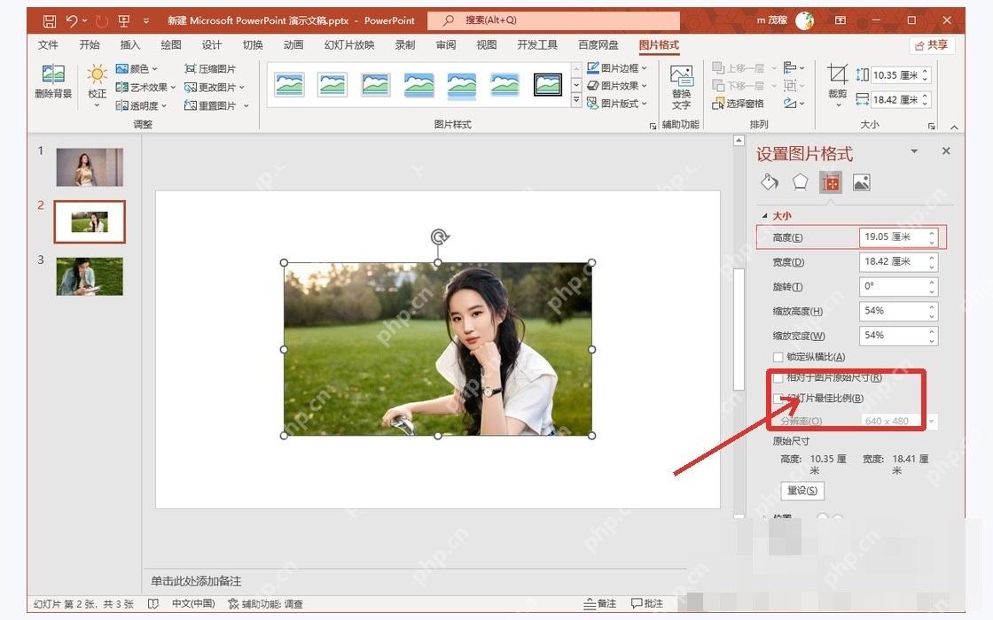 PowerPoint图片格式中保持纵横比并调整裁剪