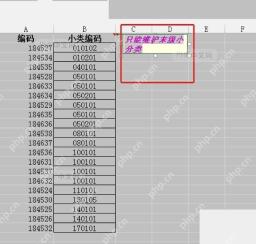 Excel批注文字颜色设置完成后的显示效果