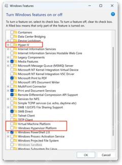 Windows Features 窗口中 Hyper-V 和虚拟化相关组件位置被框出