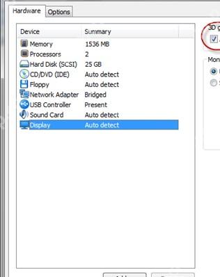VMware Workstation Virtual Machine Settings 左侧硬件列表选中 Display 显示设备