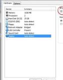 VMware Workstation Virtual Machine Settings 左侧硬件列表选中 Display 显示设备