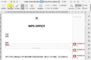 在文档阅读版式中如何突出显示?中间操作