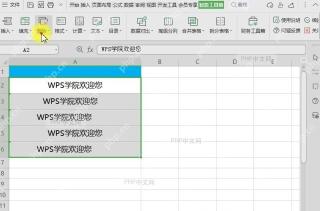 WPS如何删除表格末尾空格?设置效果