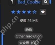 Wallpaper Engine 壁纸详情区域显示 Other resolution 选项用于确认资源规格