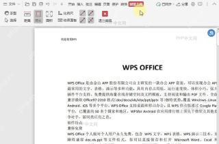 PDF如何测量PDF文档中形状的面积?中间操作