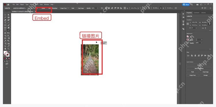 Illustrator 选中链接图片后顶部控制栏出现 Embed 按钮