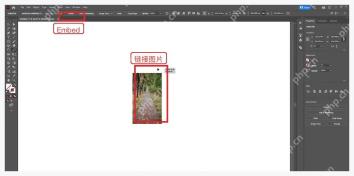 Illustrator 选中链接图片后顶部控制栏出现 Embed 按钮