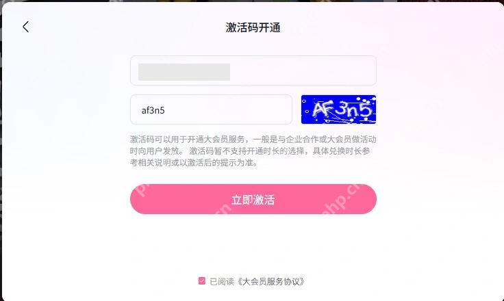 哔哩哔哩激活码开通页面的激活码输入框验证码和立即激活按钮_哔哩哔哩怎么使用激活码_哔哩哔哩会员激活码兑换步骤 - php中文网