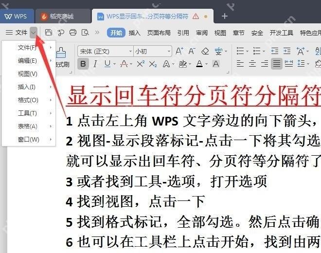 WPS文字从视图菜单显示回车符分页符等格式标记