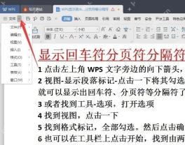 WPS文字从视图菜单显示回车符分页符等格式标记