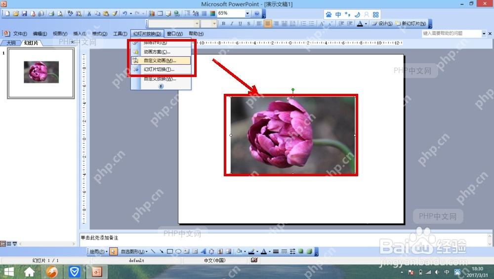 PowerPoint 选中图片并从幻灯片放映进入自定义动画面板
