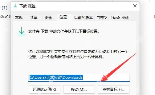Windows 10 下载属性位置页中的移动按钮
