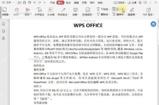 PDF如何在PDF文档的文本后加入插入符？设置效果