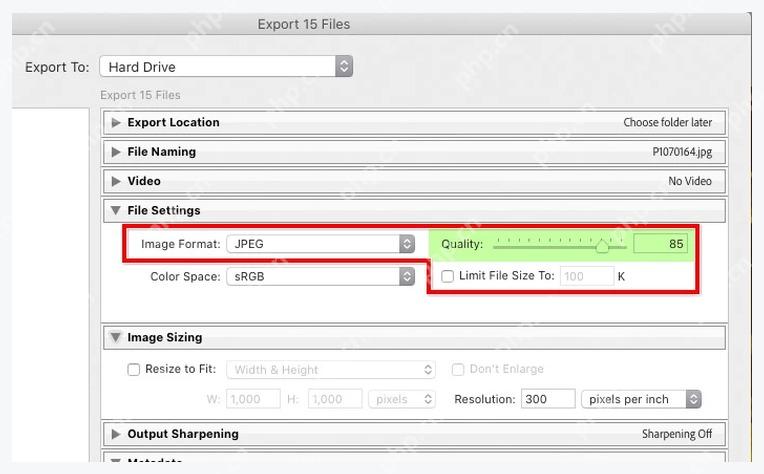 Lightroom Classic Export 窗口 File Settings 中 Quality 滑块设置为 85