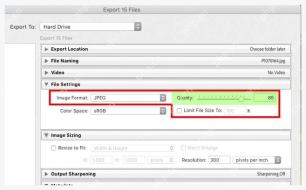 Lightroom Classic Export 窗口 File Settings 中 Quality 滑块设置为 85