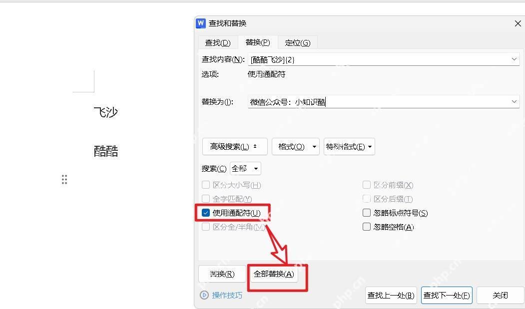 在Word查找替换中启用使用通配符选项