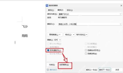 在Word替换窗口中启用使用通配符选项