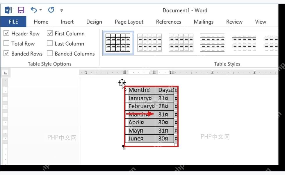 Word 文字转换成表格后的表格结果