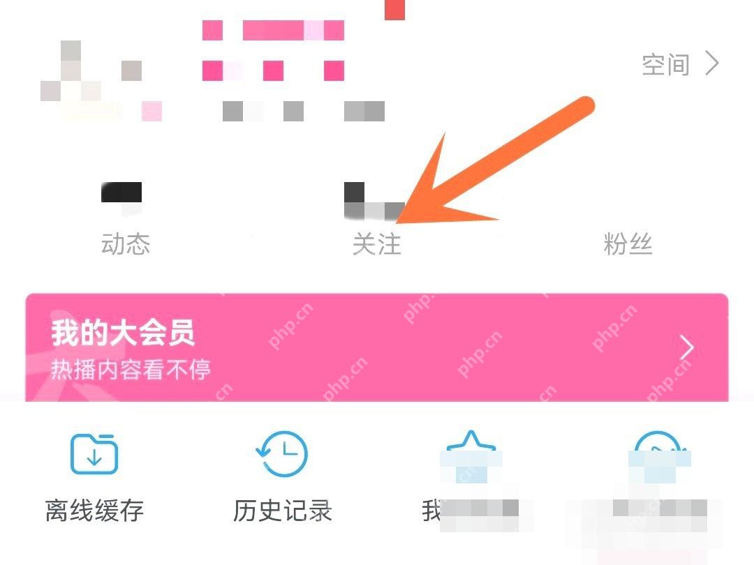 哔哩哔哩我的页面里的关注入口