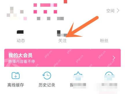 哔哩哔哩怎么把UP主设为特别关注