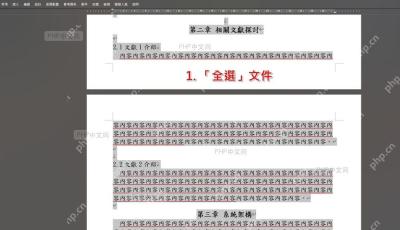 Word 或 WPS 文档中选中需要设置行距的段落