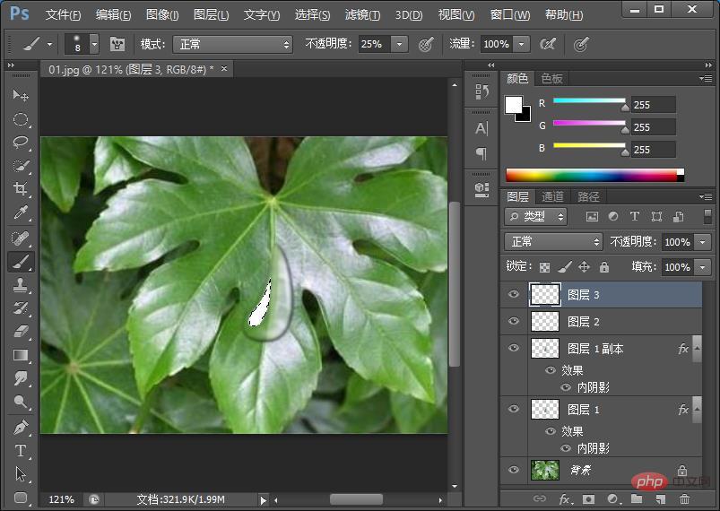 Teach you how to use PS to draw realistic water drop effects on leaves (share)