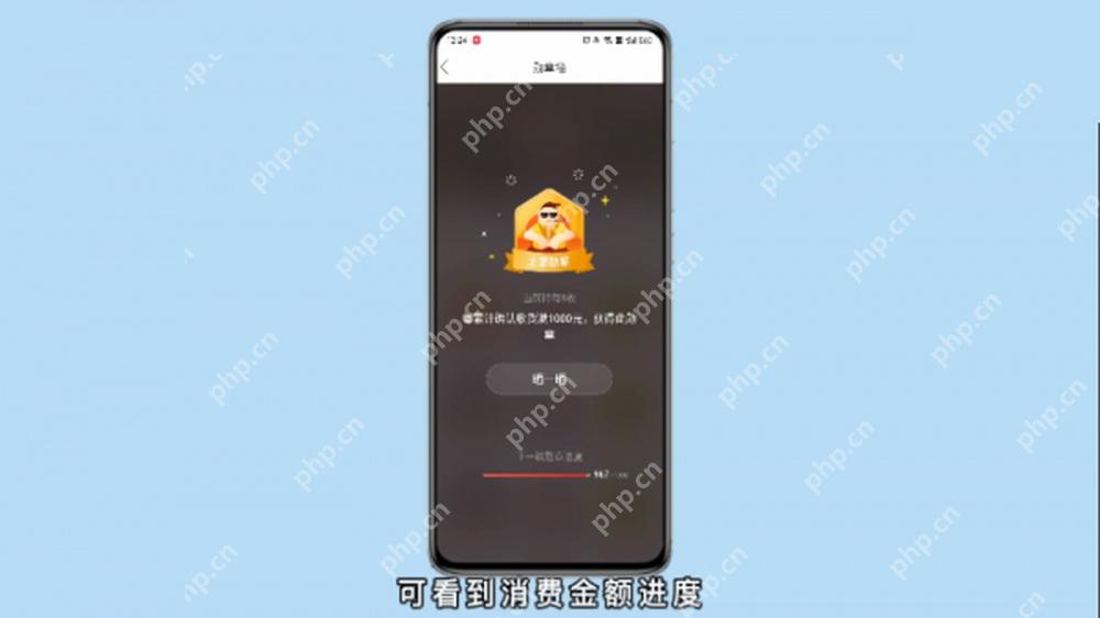 拼多多消费勋章详情界面,显示消费金额进度而非精确总账