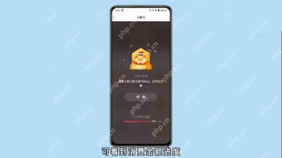 拼多多消费勋章详情界面，显示消费金额进度而非精确总账