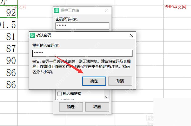 WPS 表格确认密码窗口要求再次输入保护密码
