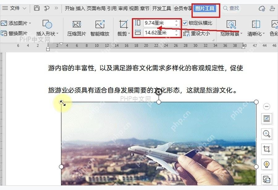 WPS 文档中选中图片后出现图片工具和尺寸输入框