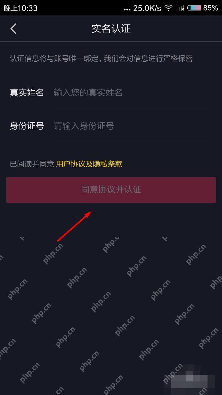 抖音实名认证申诉页面填写真实姓名和身份证号