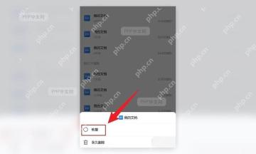 手机 WPS 找回文档操作面板中的恢复按钮和永久删除选项