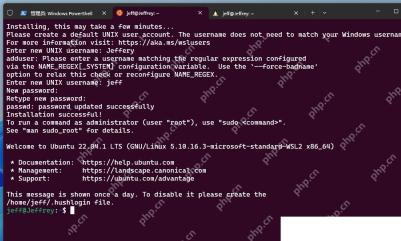 Win11 WSL Ubuntu 发行版初始化完成后显示终端欢迎信息