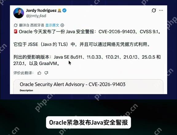 Java CVE-2026-91403 与 CVSS 9.1 安全警报画面